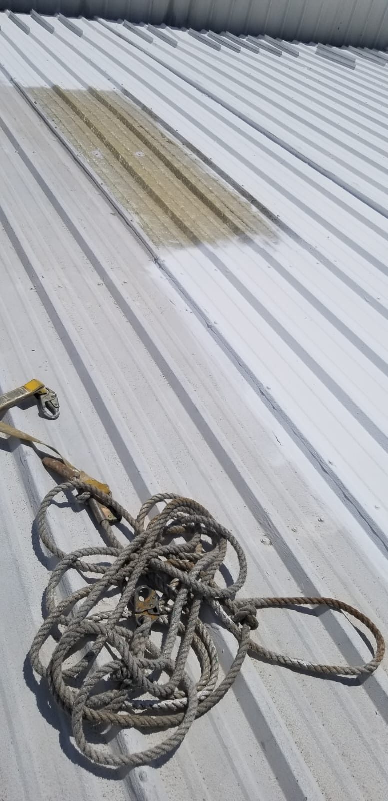 Metal roof panels mid coating with fall protection rope on the roof